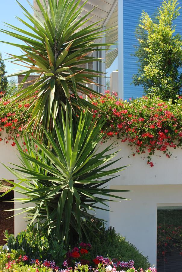 Hotel Torre Santamaria Resort Mattinata Luaran gambar